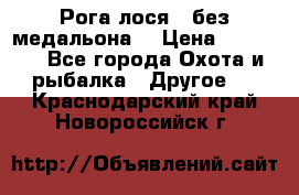 Рога лося , без медальона. › Цена ­ 15 000 - Все города Охота и рыбалка » Другое   . Краснодарский край,Новороссийск г.